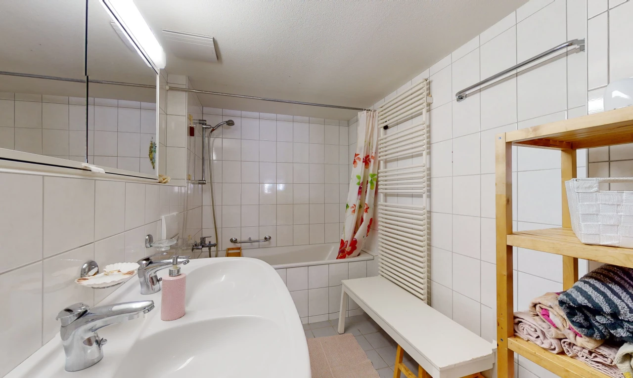 salle de bains avec radiateur, bain-douche, miroir, et vasque