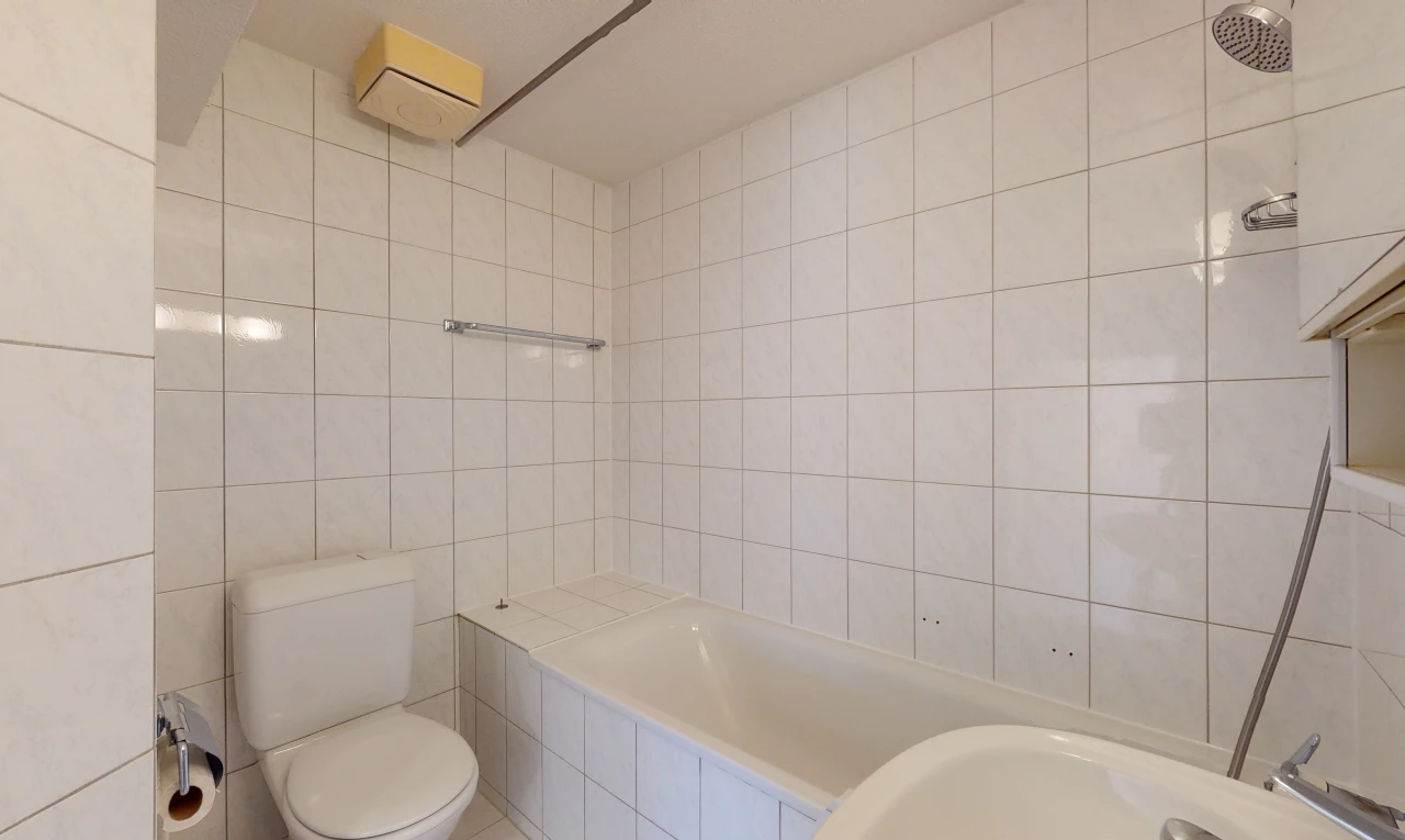 salle de bains avec bain-douche, toilettes, et baignoire