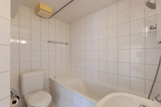 salle de bains avec bain-douche, toilettes, et baignoire