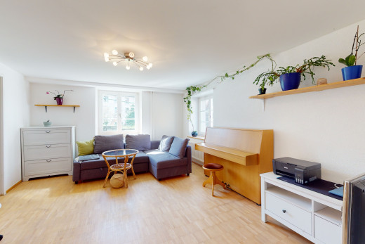 salon avec parquet et lumière naturelle