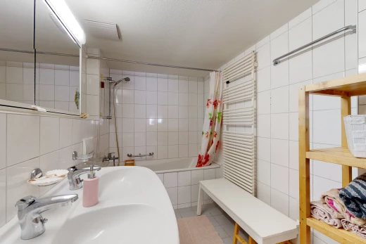 salle de bains avec radiateur, bain-douche, miroir, et vasque