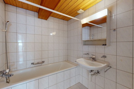 salle de bains avec bain-douche, miroir, et vasque
