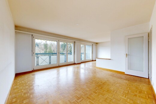 pièce vide avec lumière naturelle, natural light, sol en finition bois, wood finish floor, et parquet floor