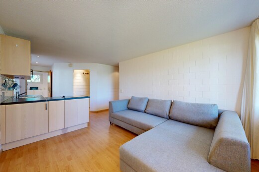 salon avec sol en finition bois, wood finish floor, light floor, inside property, et lumière naturelle