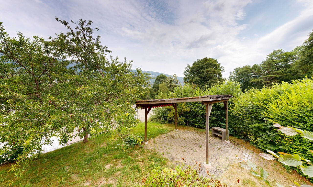 jardin avec day time