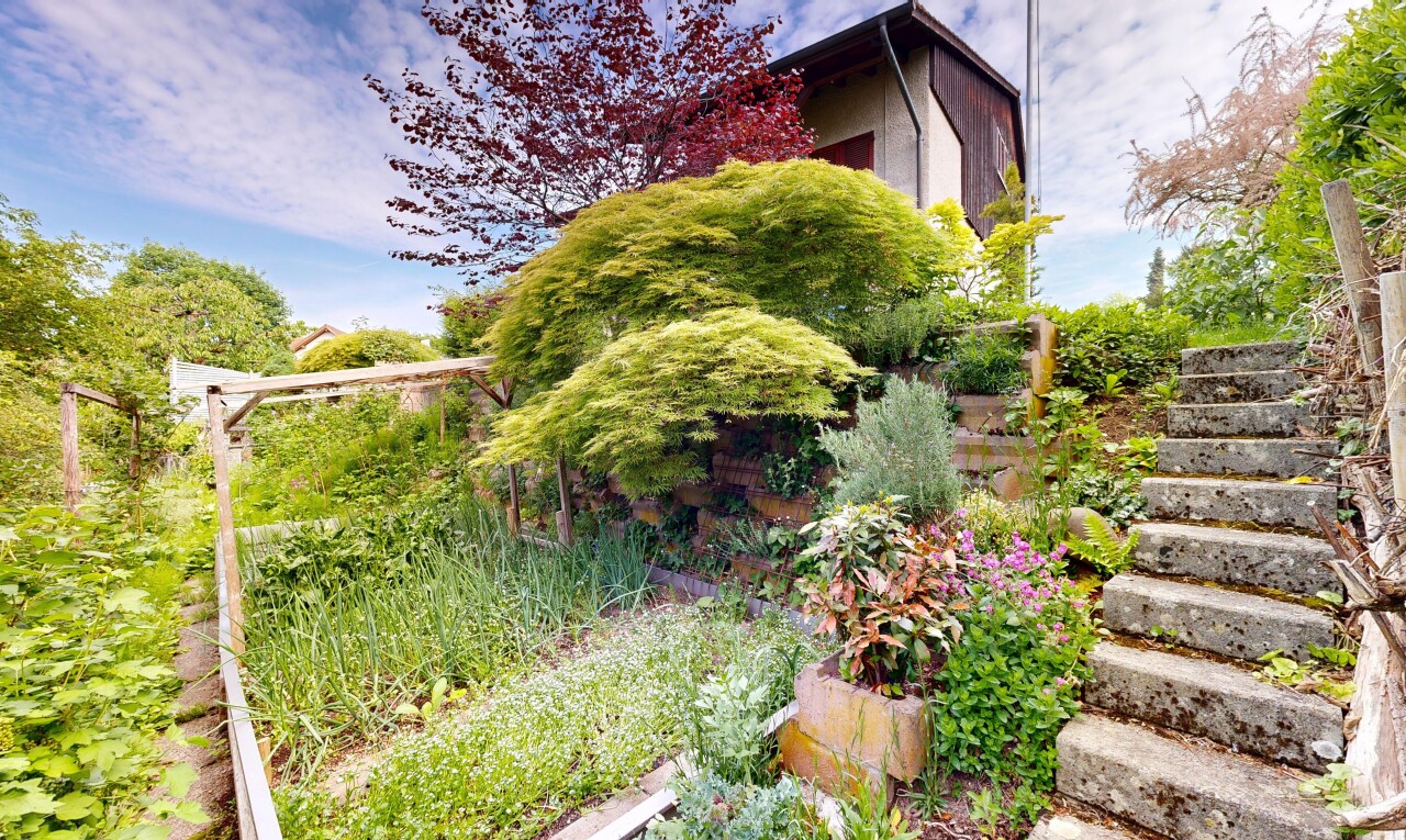 jardin avec day time