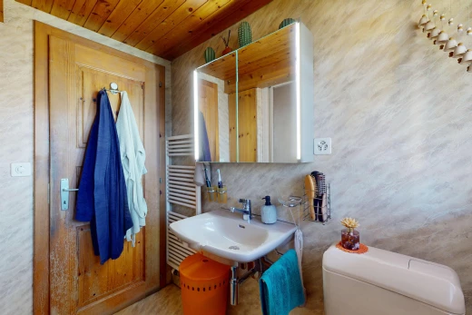 salle de bains avec toilettes, vasque, et miroir