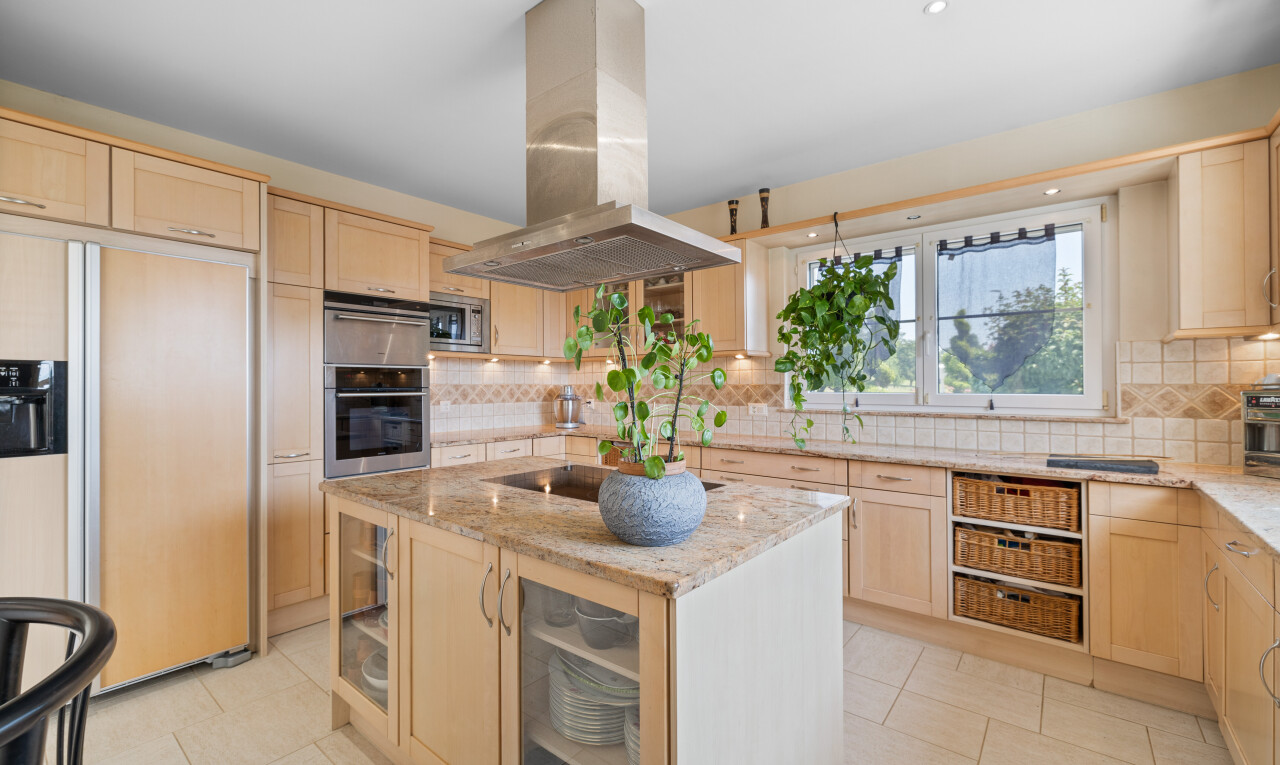 küche mit kühlschrank, schranktüren mit vertiefter mittelplatte, dunstabzugshaube, hellbraune schränke, und natural light