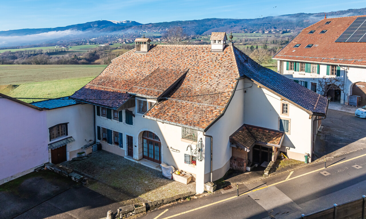 façade avec bardage en stuc, vue sur la montagne, mountain view, cheminée, et day time