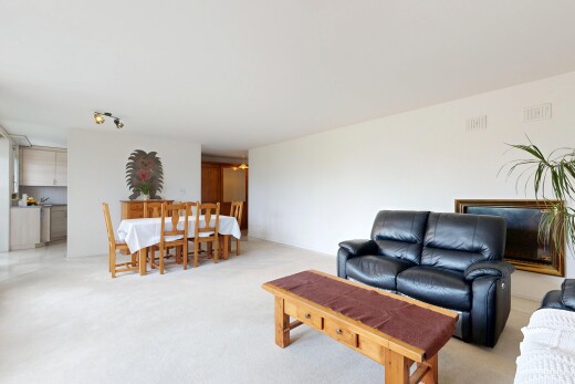 living / dining room featuring light colored carpet