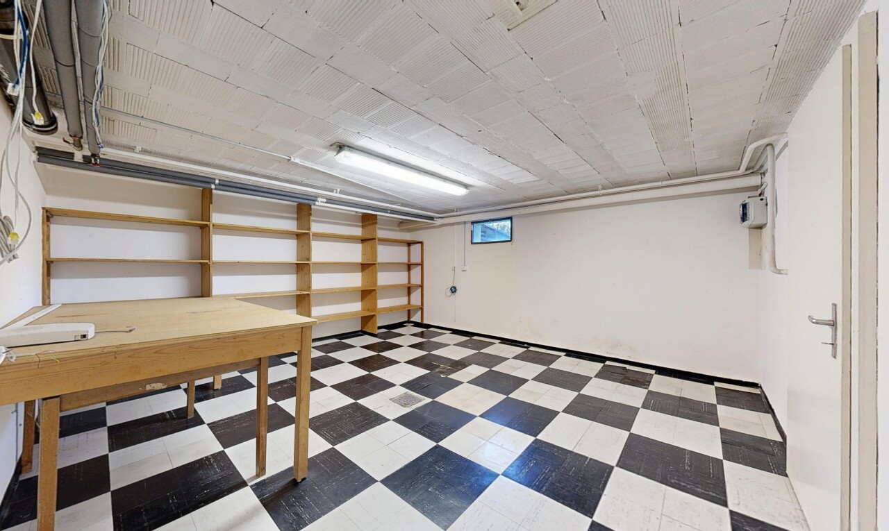 espace intérieur avec cloison sèche, sol en vinyle, et sous-sol