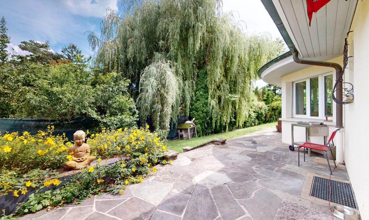espace extérieur avec patio et vue sur la forêt