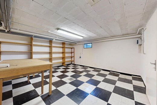 espace intérieur avec cloison sèche, sol en vinyle, et sous-sol