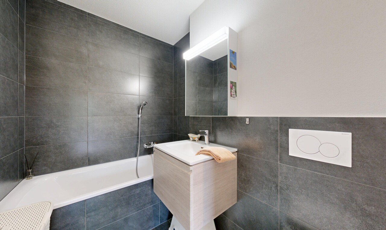 bad mit tile wall, fliesenwand, hundewaschstation, komplettes badezimmer, und spiegel