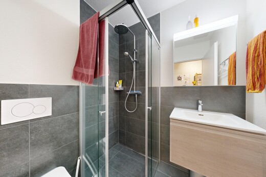 bad mit schminktisch, komplettes badezimmer, dusche, spiegel, und inside property