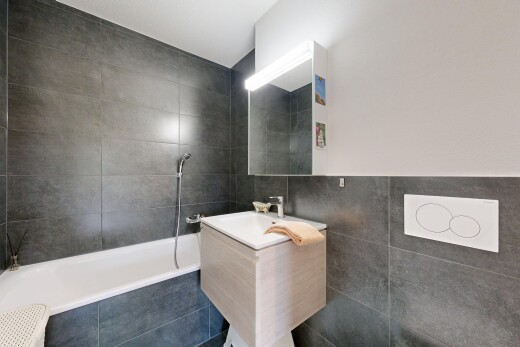 bad mit tile wall, fliesenwand, hundewaschstation, komplettes badezimmer, und spiegel