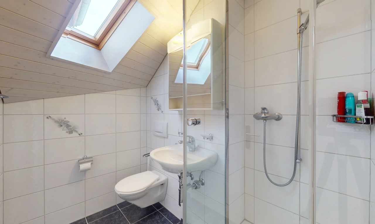 salle de bain avec toilettes, mur carrelé, carrelage, plafond voûté, et douche
