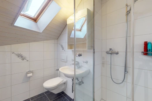 salle de bain avec toilettes, mur carrelé, carrelage, plafond voûté, et douche