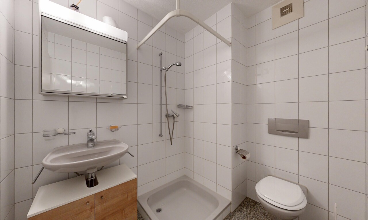 bad mit fliesenwand, tile wall, spiegel, dusche, und toilette