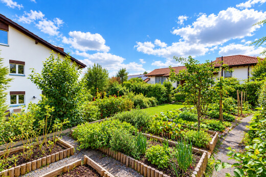 garden featuring a garden