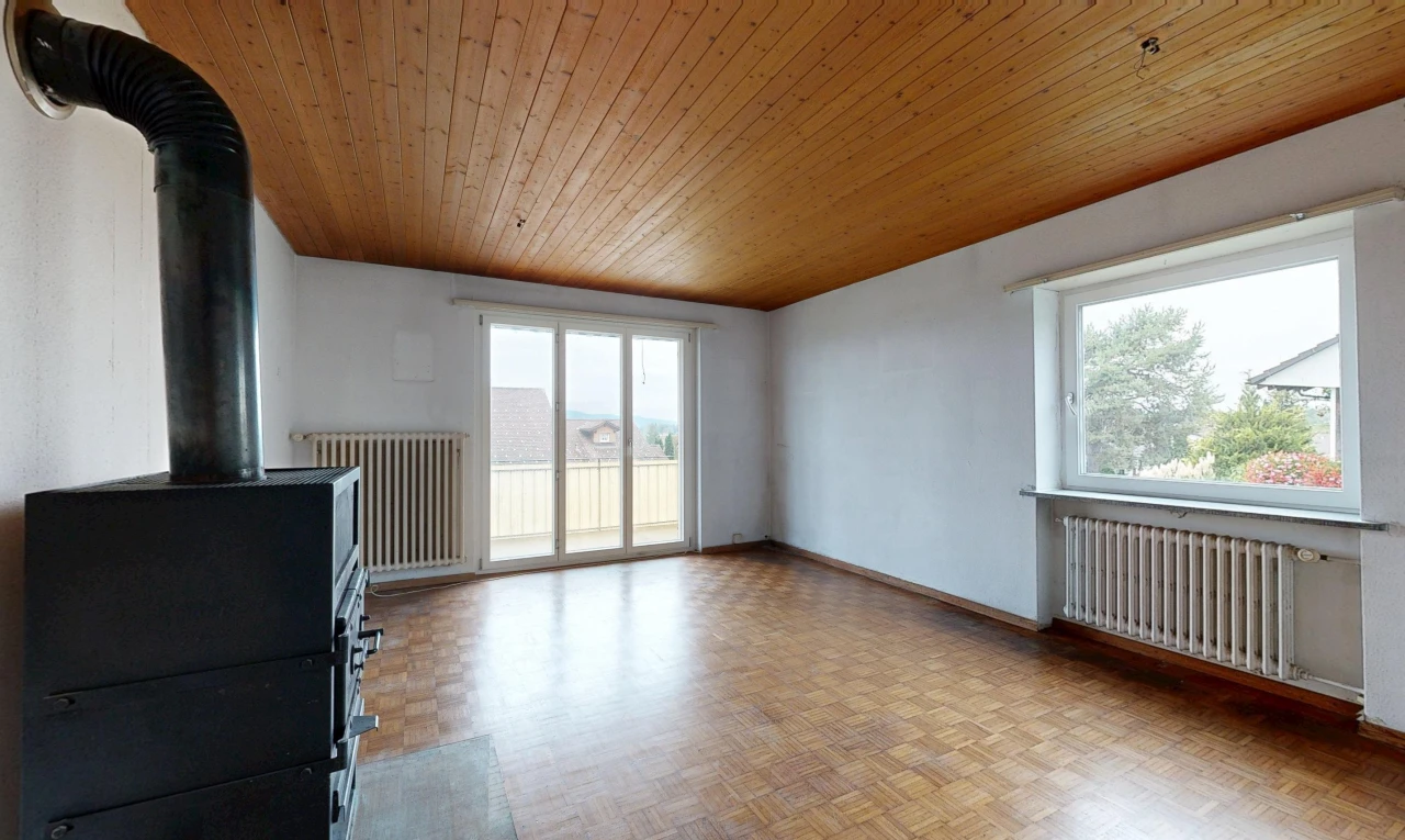 leerer raum mit holzofen, holzdecke, wood ceiling, kühler, und außenzugang