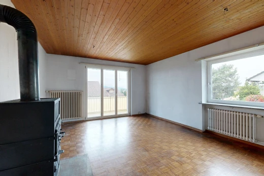leerer raum mit holzofen, holzdecke, wood ceiling, kühler, und außenzugang