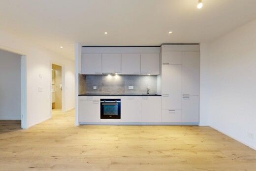 cuisine avec four, cloison sèche, drywall, armoires à panneau plat, et plans de travail