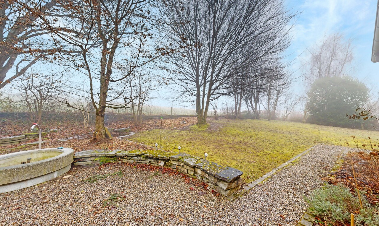 jardin avec day time