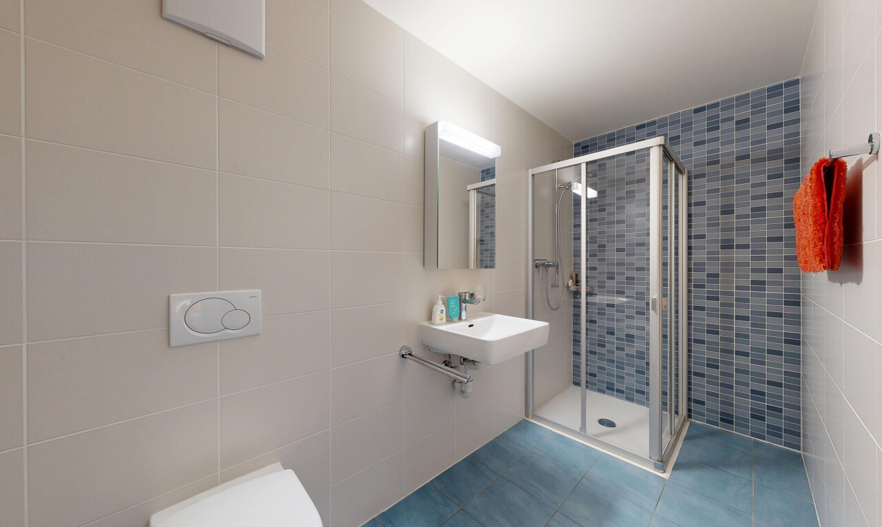 salle de bains avec mur en carrelage, tile wall, salle de bain complète, douche, et évier