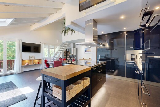 küche mit dunstabzugshaube, flat panel cabinets, schränke mit flachen paneelen, inside property, und high ceiling