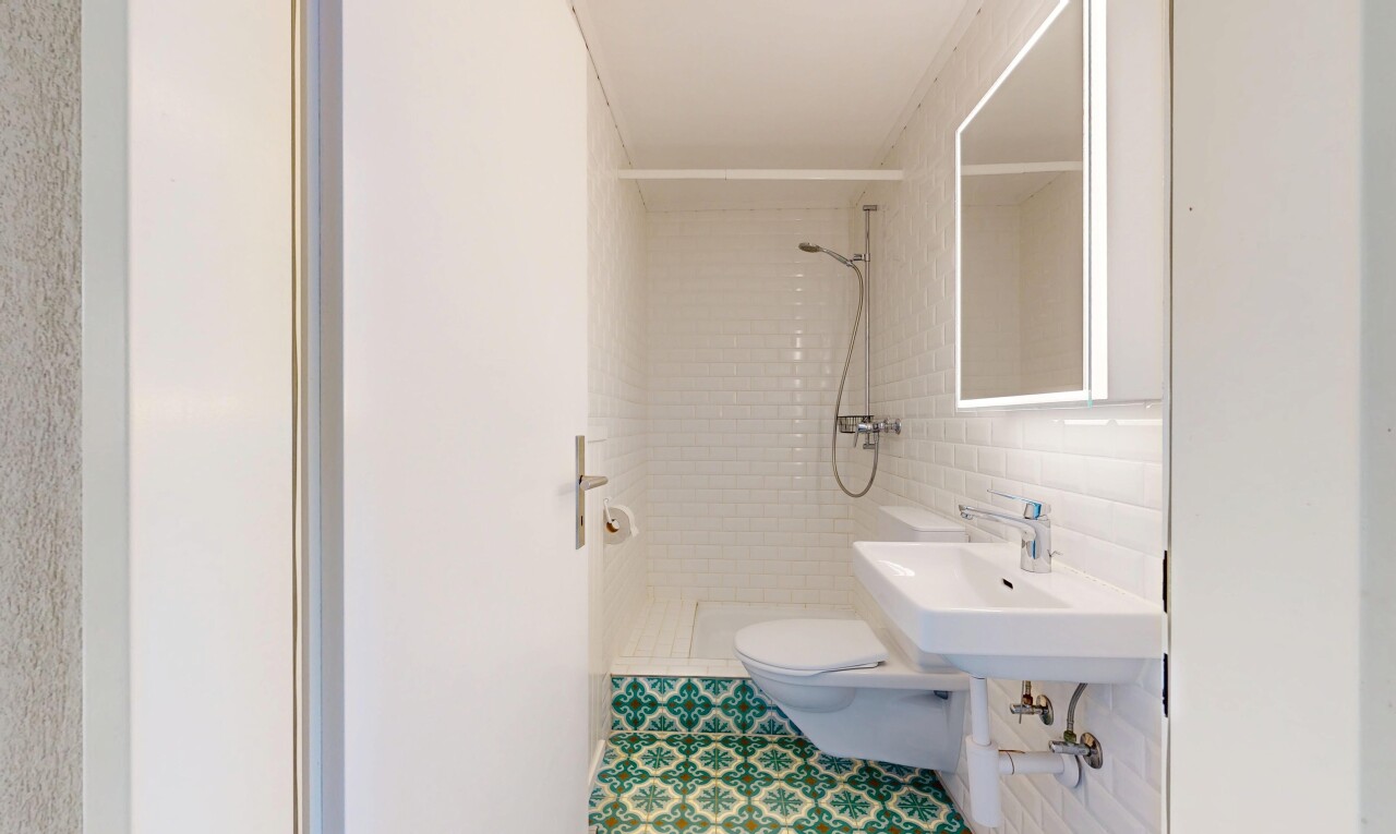 bad mit dusche, toilette, komplettes badezimmer, spiegel, und inside property