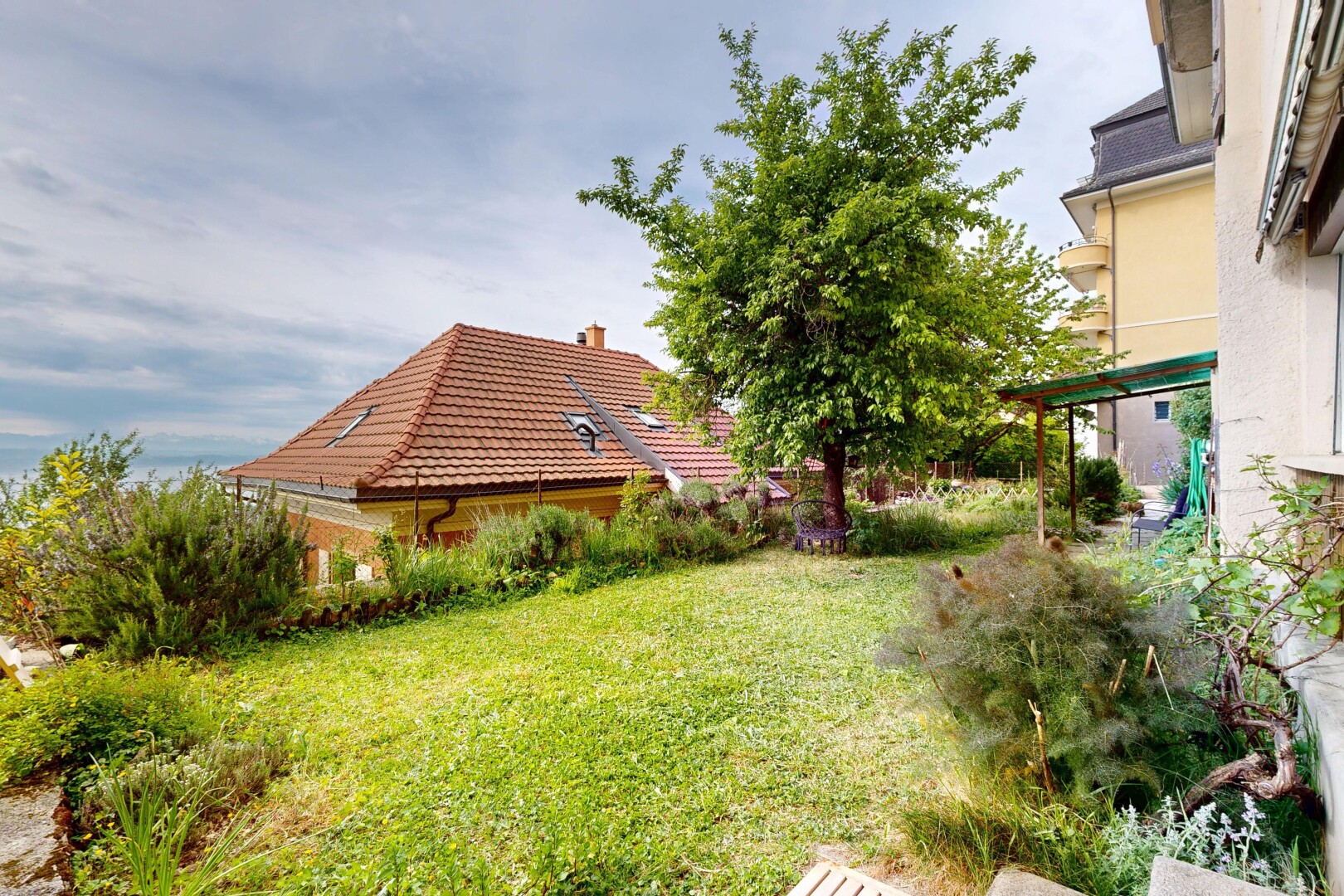 jardin avec pelouse et from property