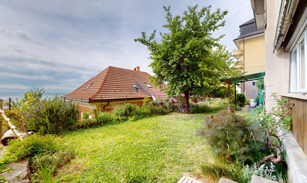 jardin avec pelouse et from property