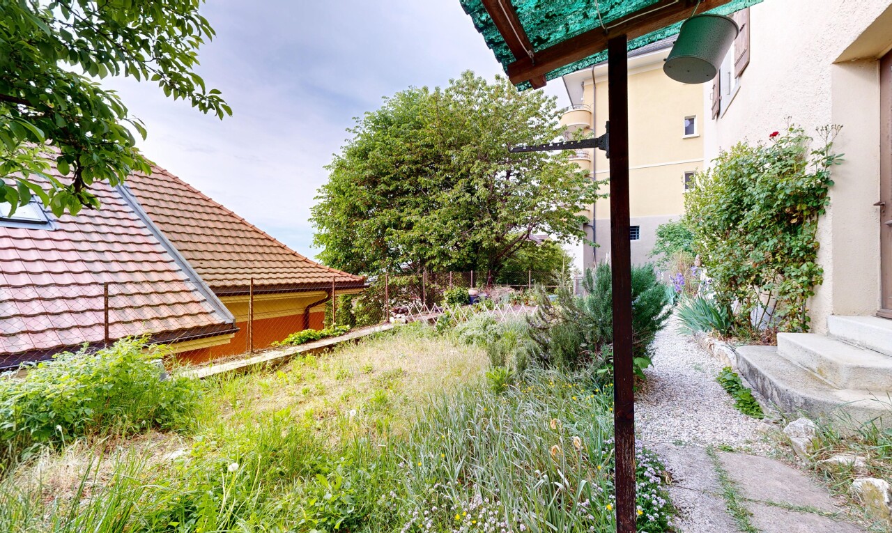 jardin avec day time