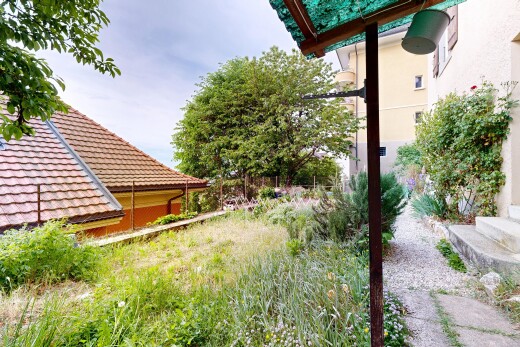 jardin avec day time