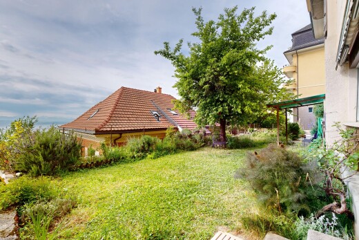 jardin avec pelouse et from property