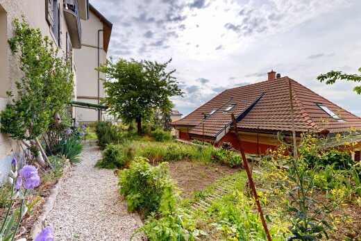 außenansicht mit stuckverkleidung, schornstein, und ziegeldach
