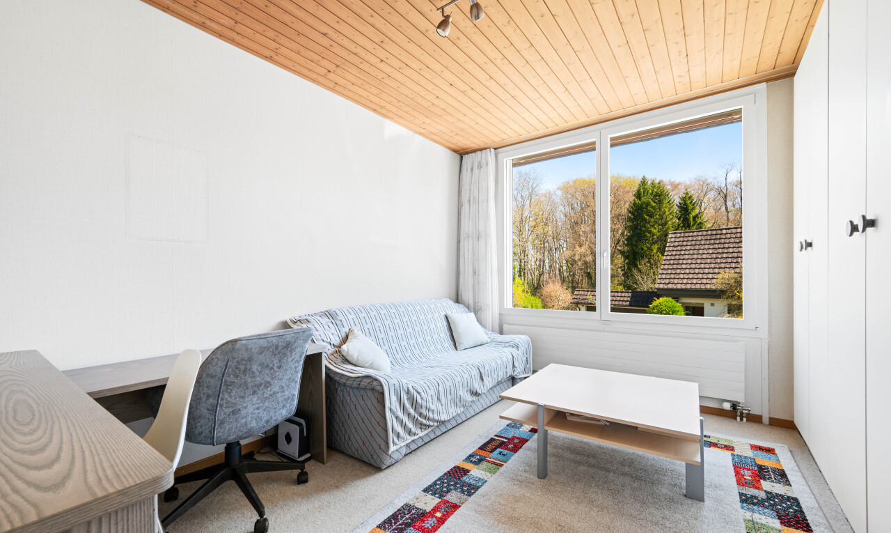 wohnzimmer mit holzdecke, wood ceiling, day time, gipskartonwand, und drywall