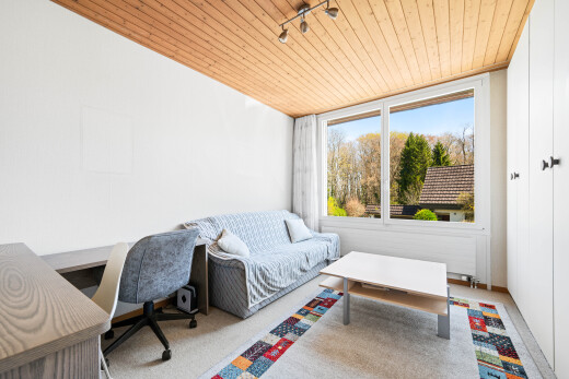 wohnzimmer mit holzdecke, wood ceiling, day time, gipskartonwand, und drywall