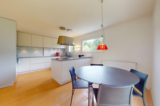 küche mit kühler, schränke mit flachen paneelen, holzfußboden, wood finish floor, und natürliches licht