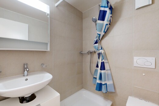 bad mit waschbecken, komplettes badezimmer, dusche, spiegel, und tile wall