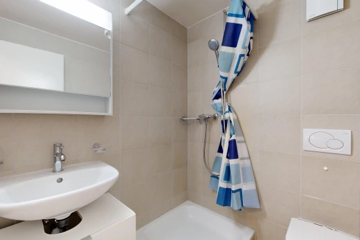 salle de bains avec évier, salle de bain complète, douche, miroir, et tile wall