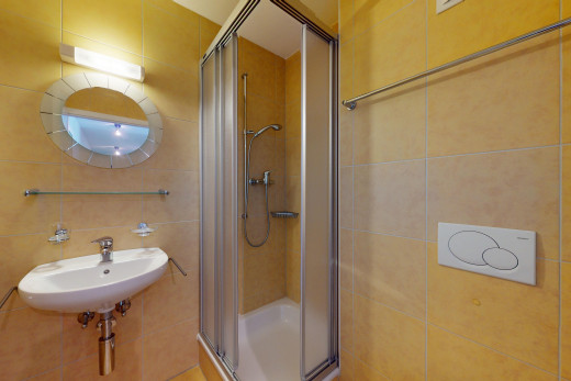 bad mit dusche, waschbecken, spiegel, fliesenwand, und küchenrückwand beim herd