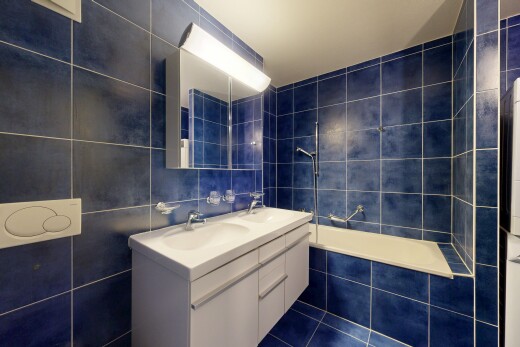 salle de bains avec miroir, salle de bain complète, mur en carrelage, tile wall, et double vasque