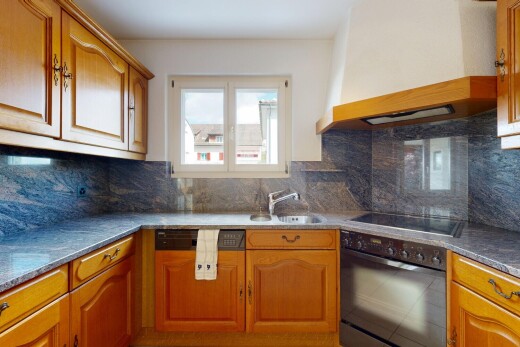 küche mit dunstabzugshaube, ofen, bogenförmige schränke, geschirrspülmaschine, und hochgezogene schränke