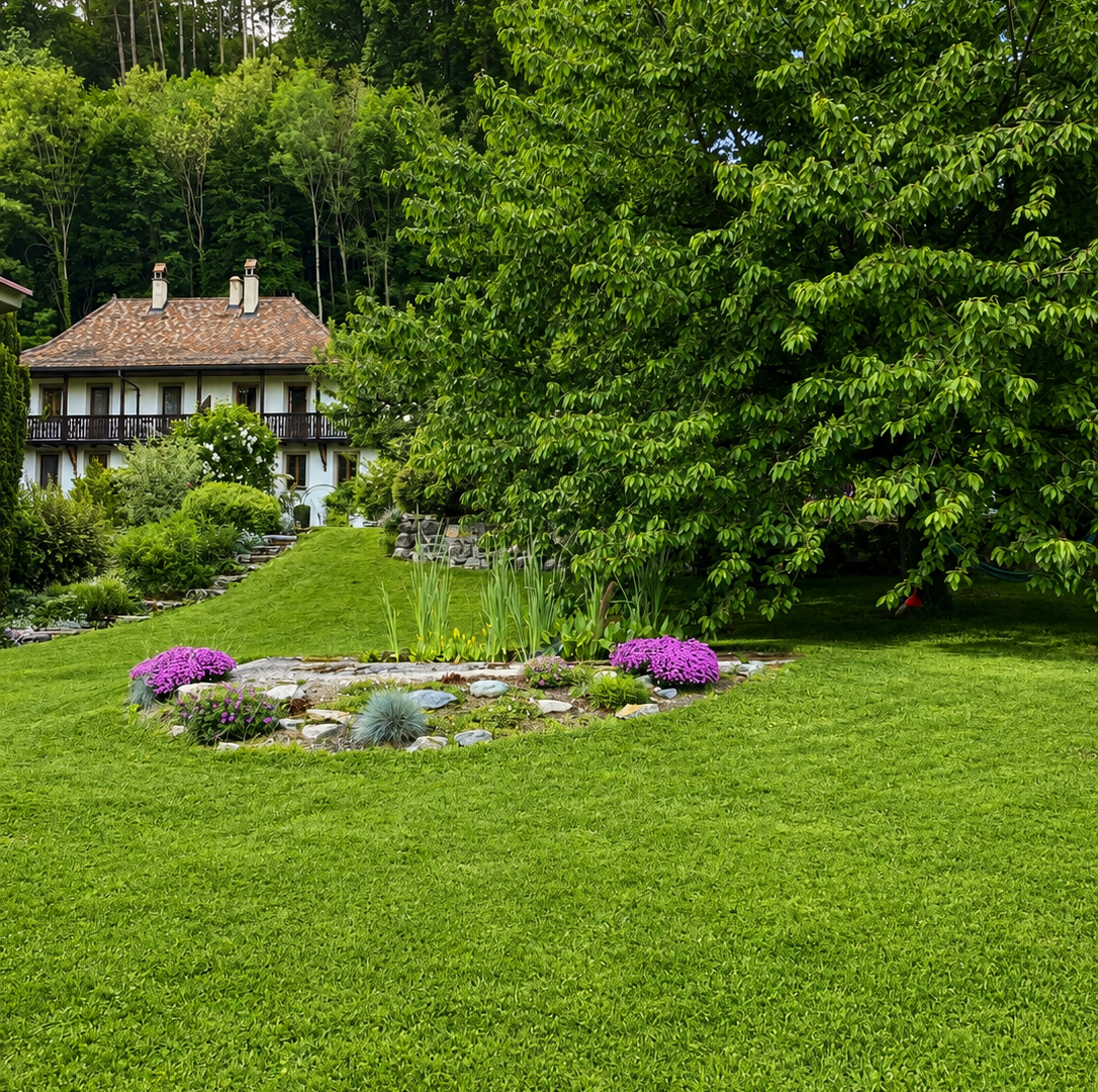 garten mit rasen und balkon