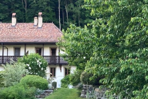 view of garden