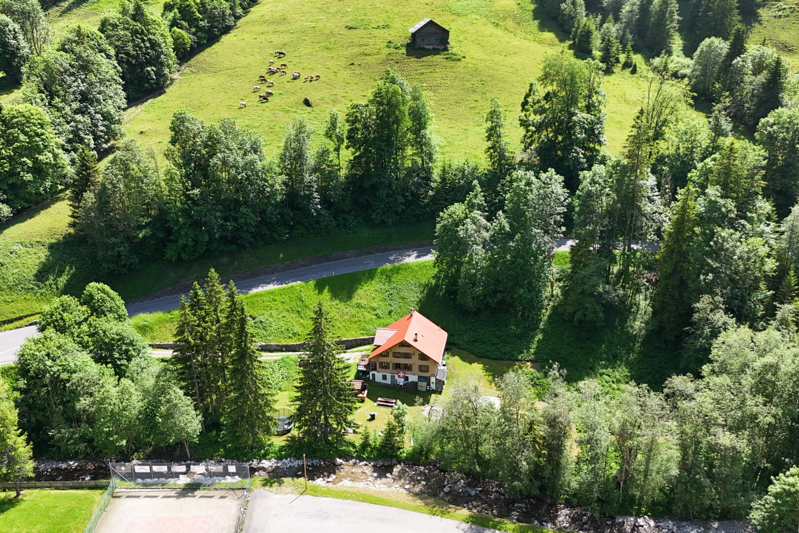 garden with a rural view