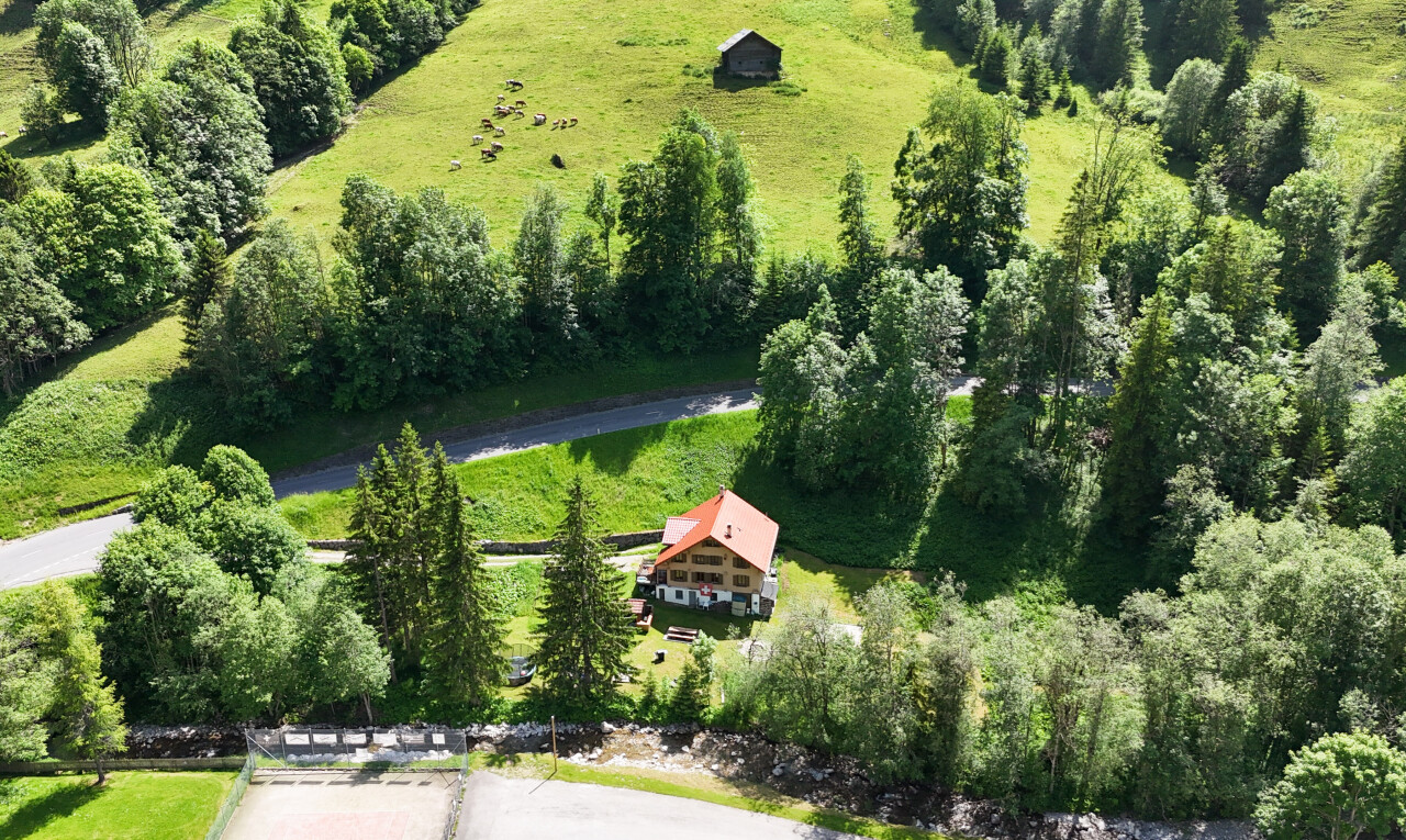 garden with a rural view