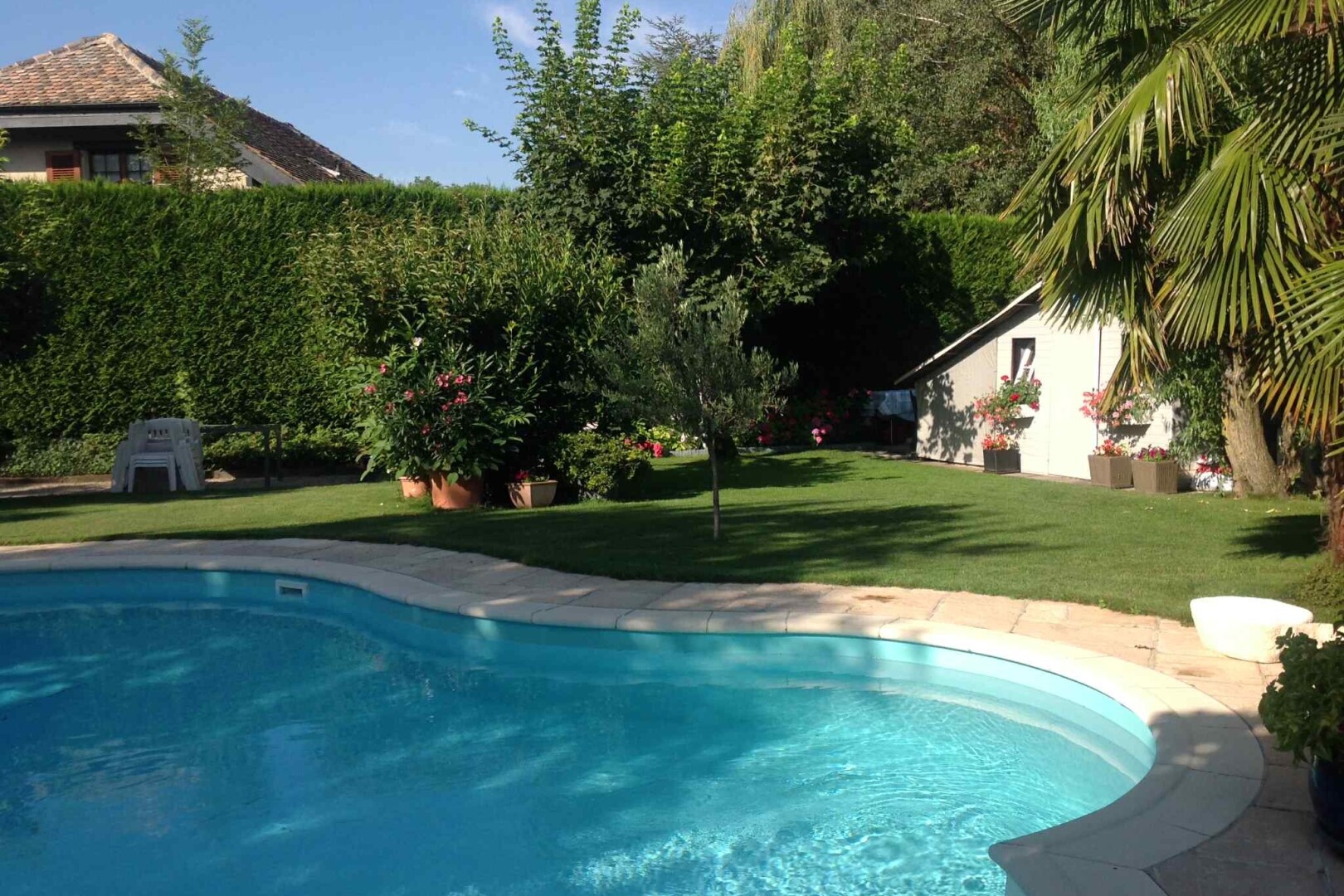 schwimmbad mit schwimmbad, rasen, day time, terrasse, und from property